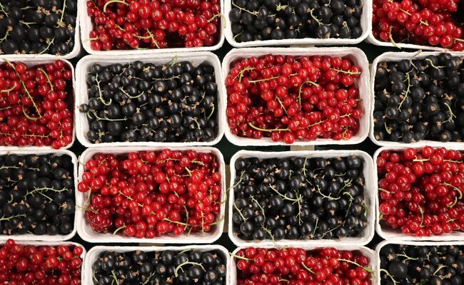 Johabeeren