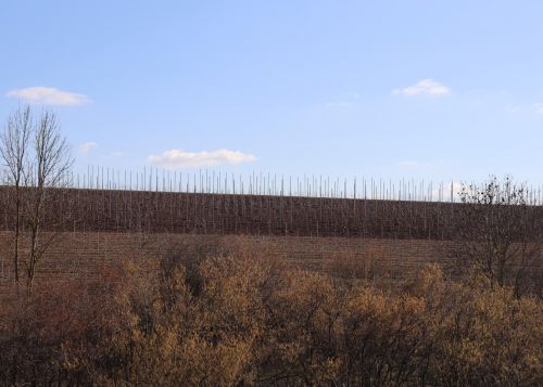 K1600_IMG_0589.JPG