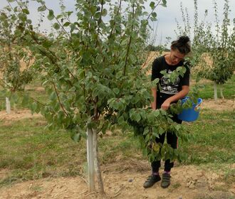 CIMG3312zugeschnitten