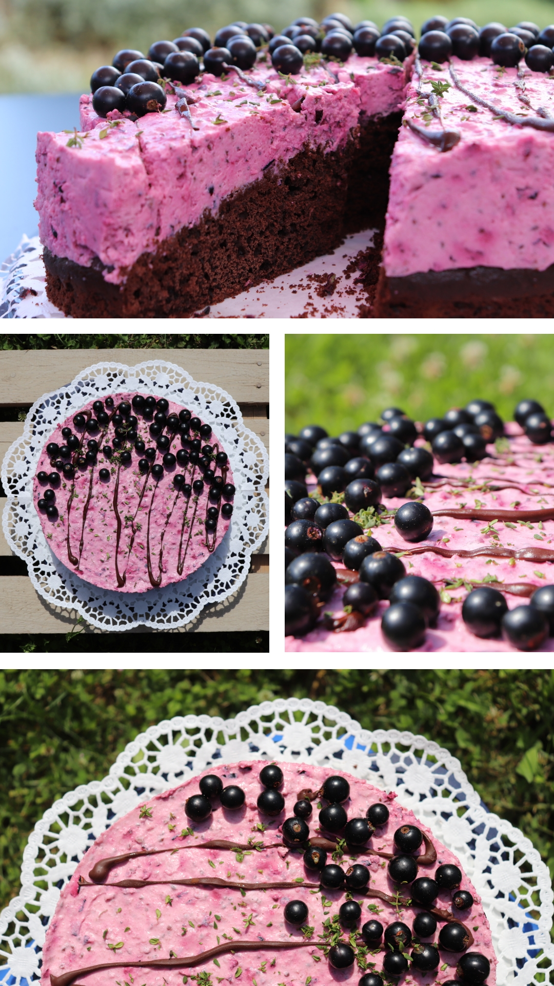 Schwarze Johannisbeertorte mit Thymian - Obstbau Holderrieth in Schwaigern